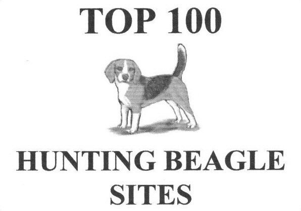 top 100 hunting beagle sites